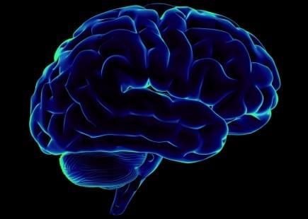 A New Study Shows How Focus and Executive Function Are Genetically Different