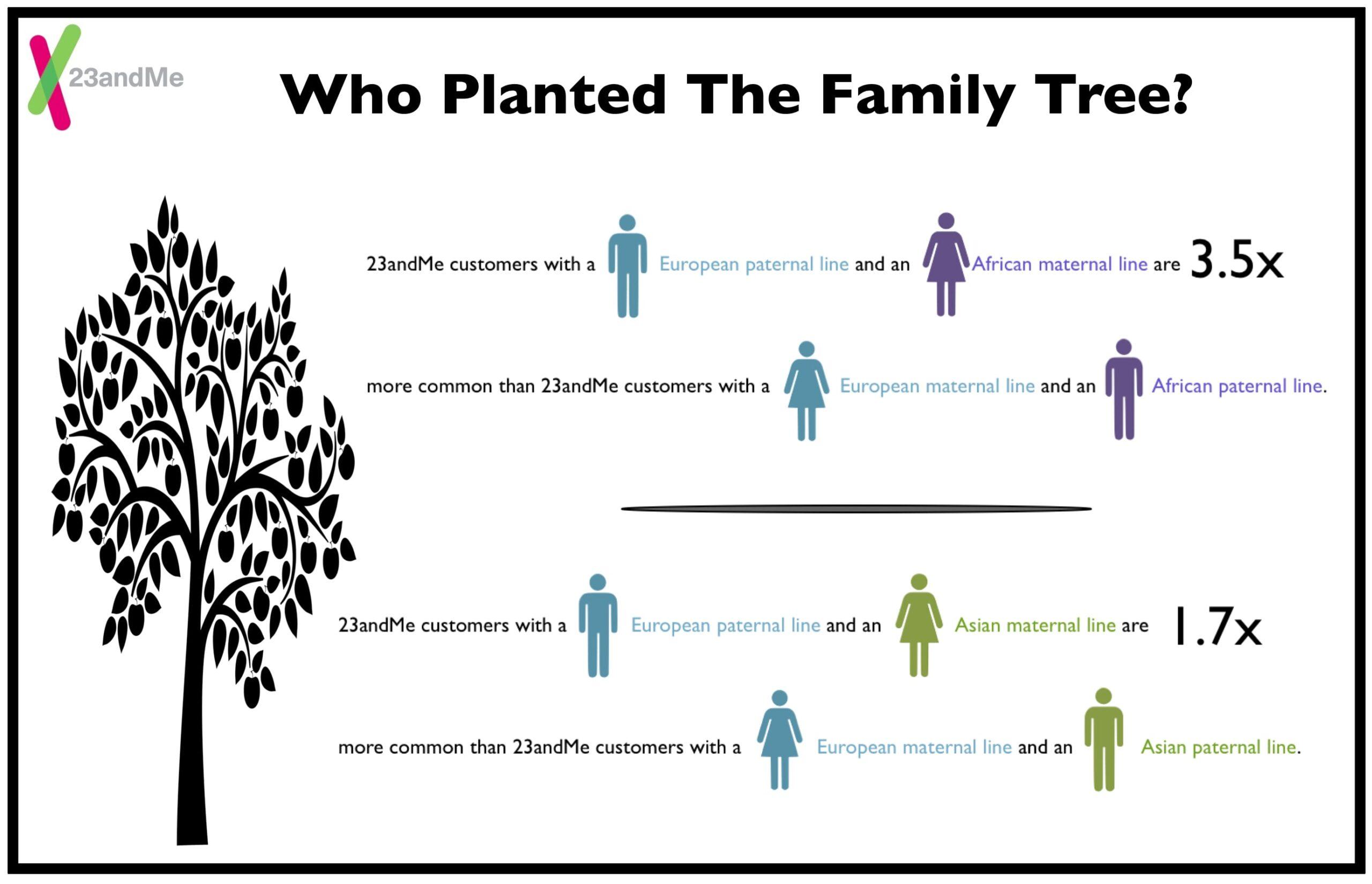 Who Planted The Family Tree?