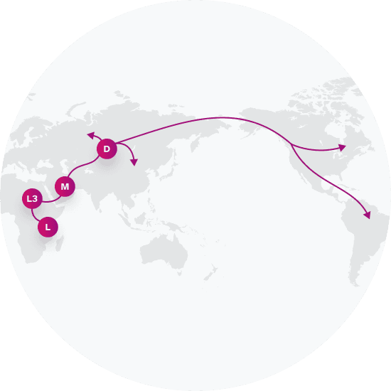 Haplogroups Explained