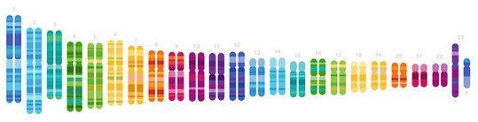 23andMe Adds New Genetic Health Risk Reports