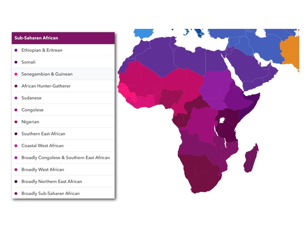 Uncovering African Ancestry: A Deep Dive into Your Roots with 23andMe