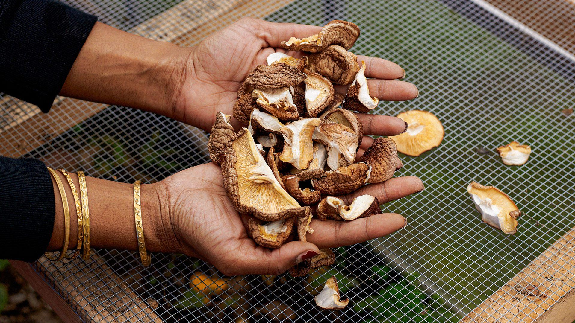 Growing Community through Community Farming