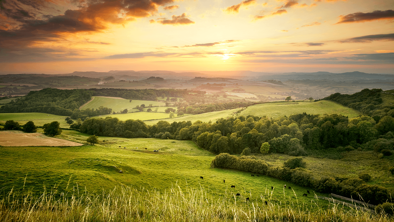 New Historical Matches could connect you a lineage of Iron Age Celtic Women in Britain