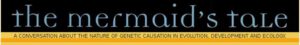 An image of the Mermaid's Tale website logo