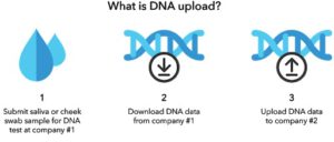 An illustration of the steps for downloading data.