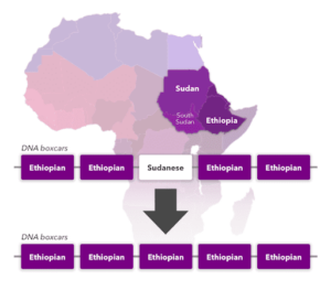 An illustration of refining to more specific regions.