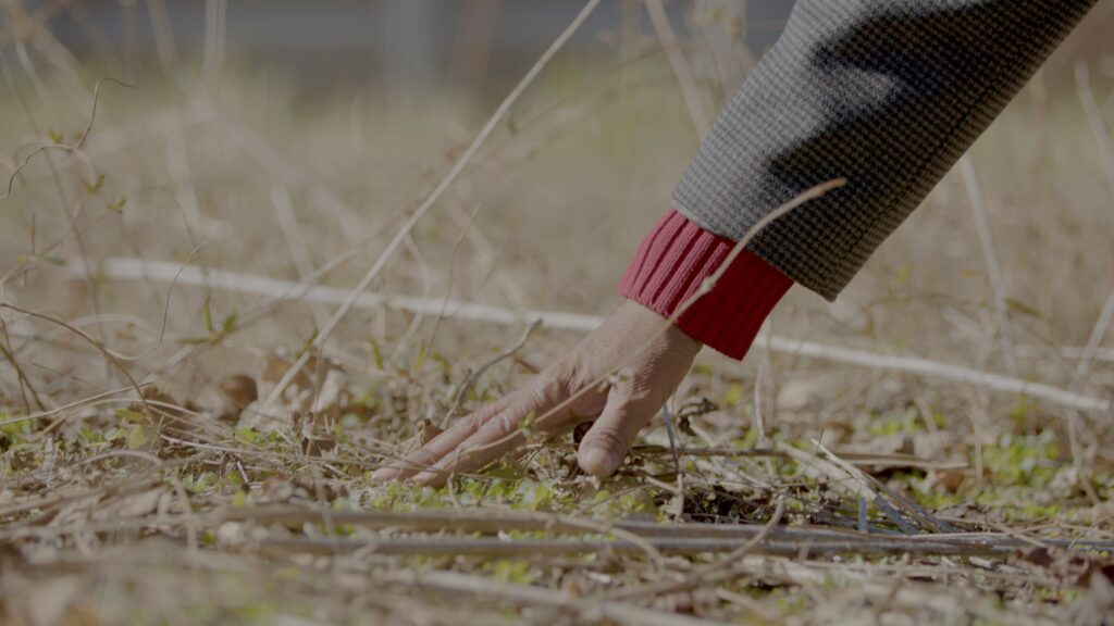 A photo of one of Agnes's daughters's hands touching the burial ground at Catoctin Furnace.