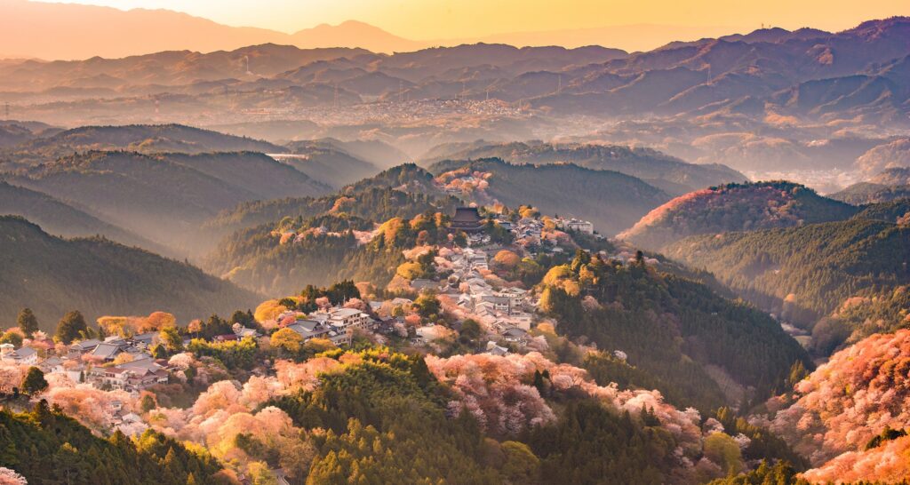 An image of Kyoto Japan